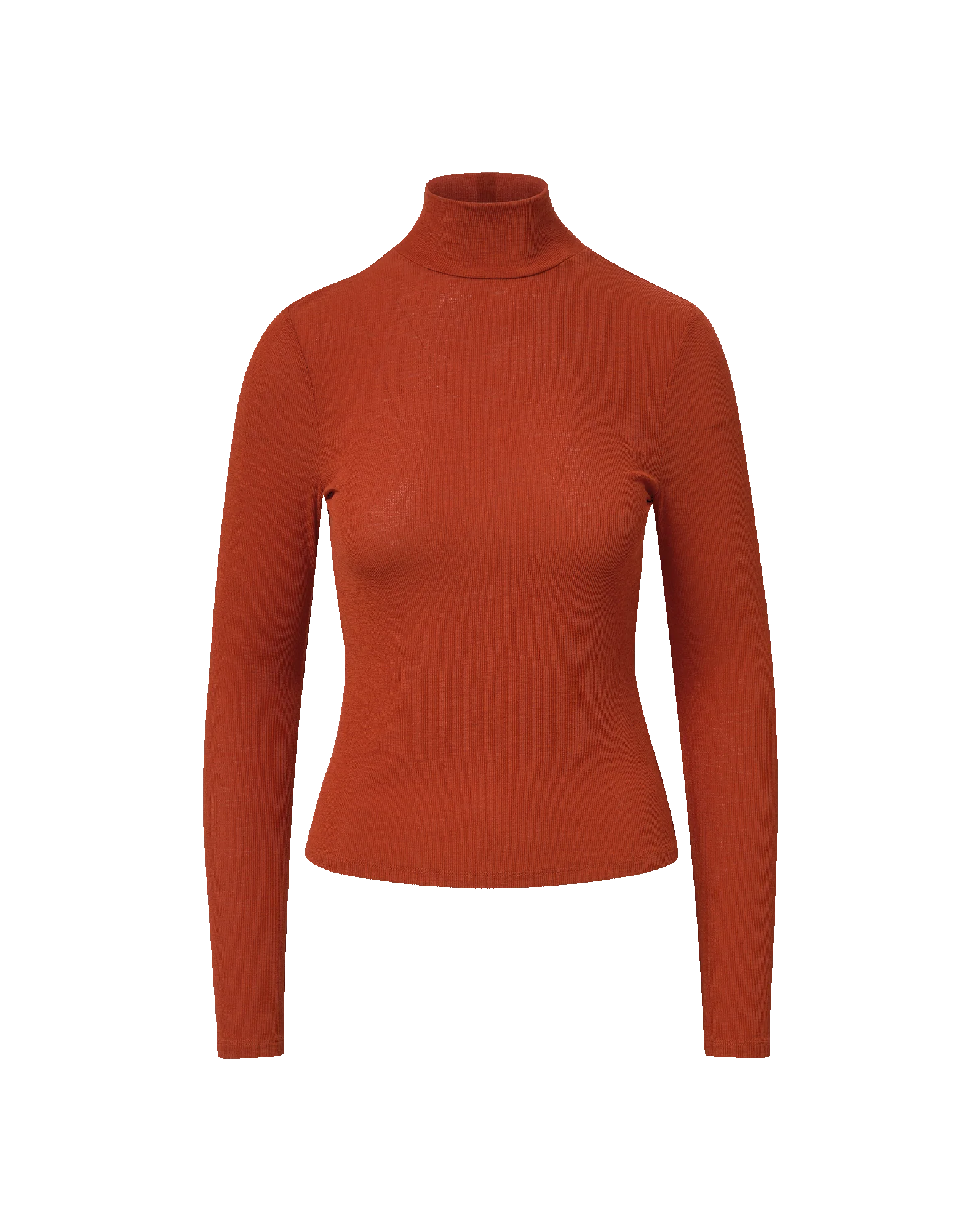 Wyeth Turtleneck Top